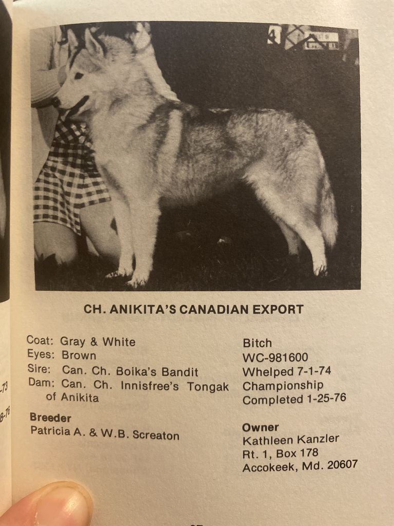 Photo of Anikita’s Canadian Export