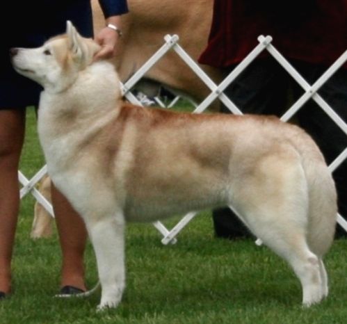 Photo of Torquemada’s Peach And Cream