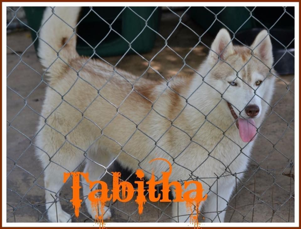 Photo of Antara Semper Tabitha (MEX)