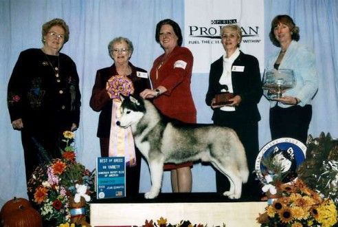 Photo of Innisfree Stockbroker
