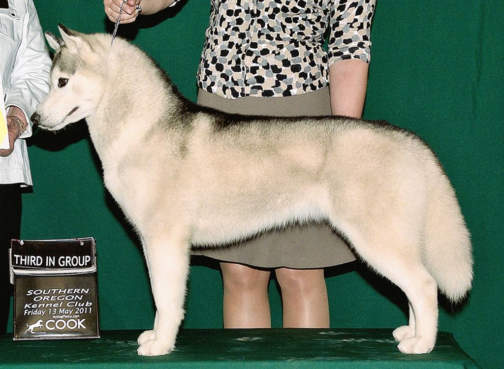 Photo of Tovik’s Haute Couture