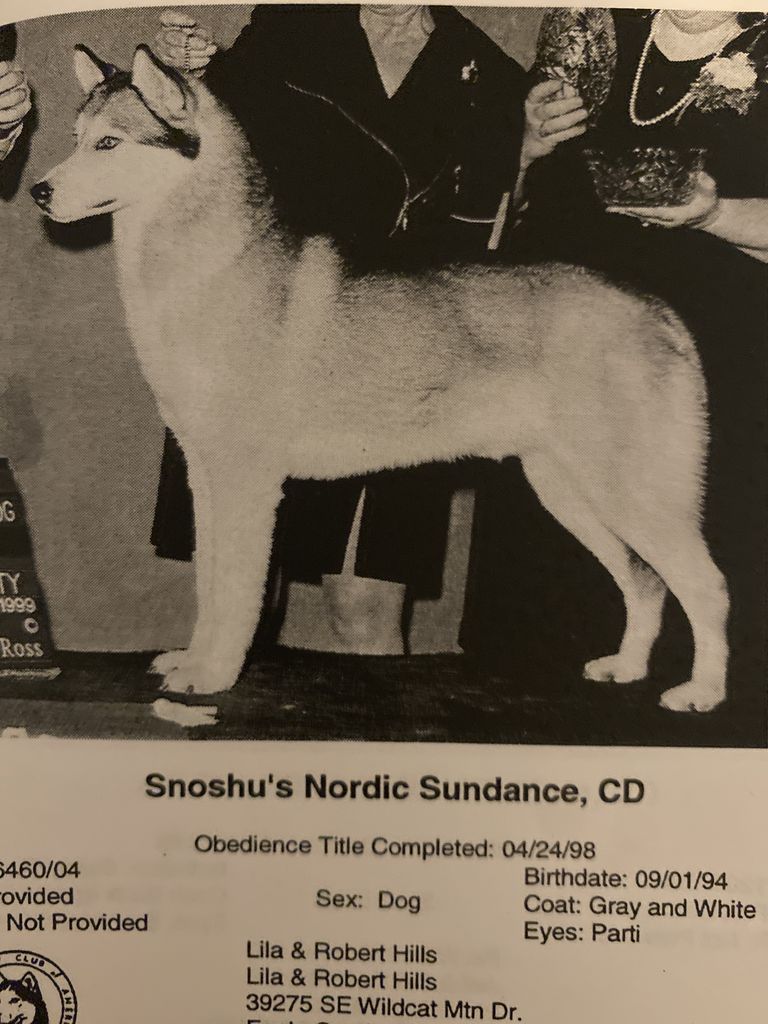 Photo of Snoshu’s Nordic Sundance