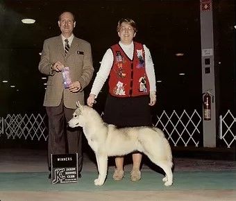 Photo of Highlander’s Peeka-Boo Icu