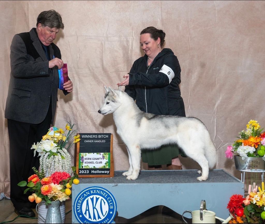 Photo of Shedenara’s Reign Over The Moon & Stars