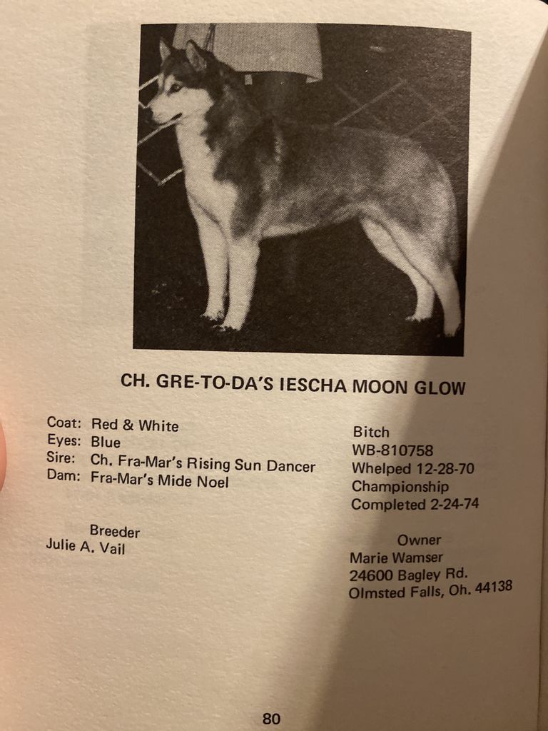 Photo of Gre-To-Da’s Iescha Moon Glow