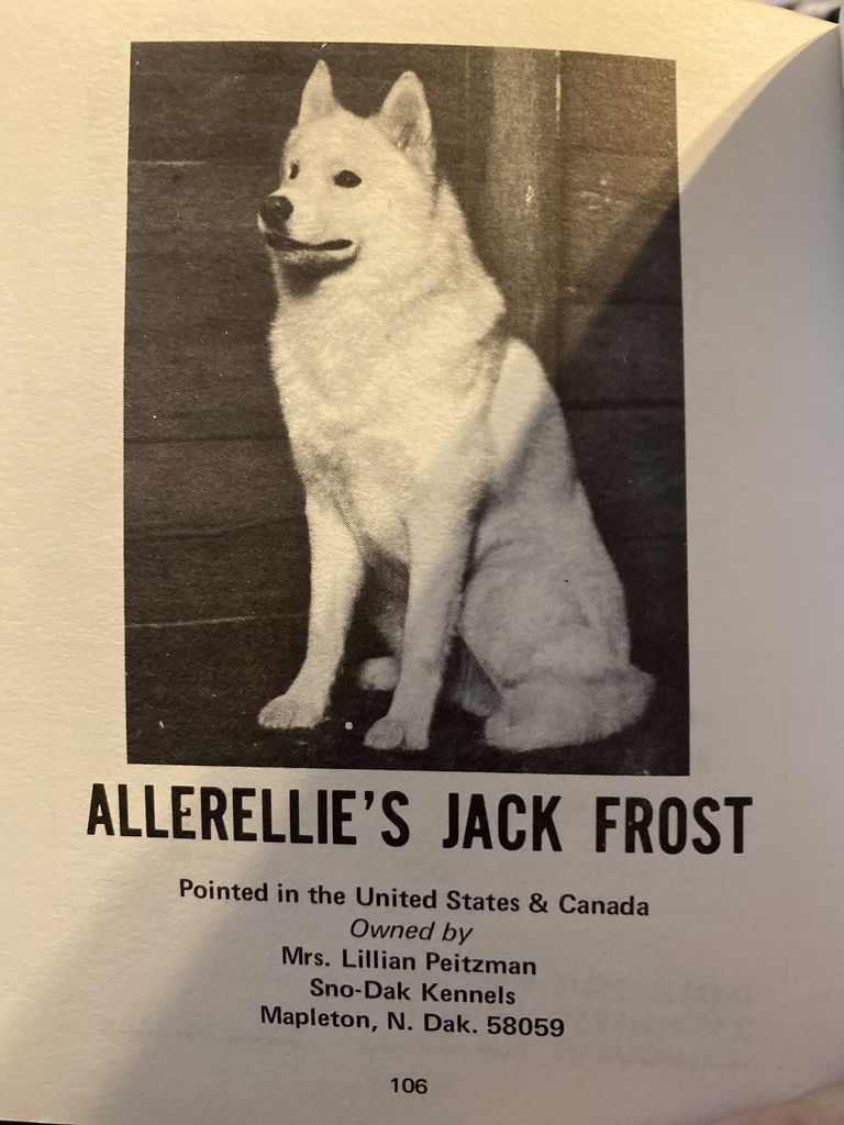 Photo of Allerellie’s Jack Frost