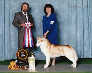 Photo of Pushinka’s The Specialist