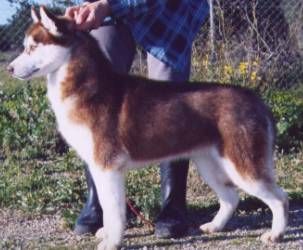 Photo of Beringia de Ciukci