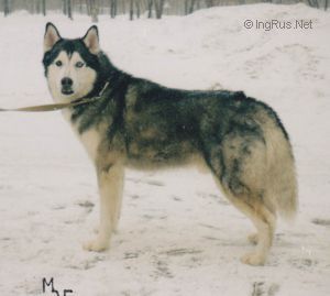 Photo of Cezar’