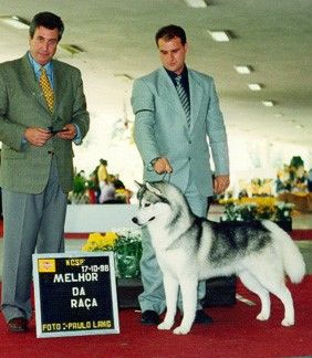 Photo of Coldspot’s Krank Dat Puppy Up