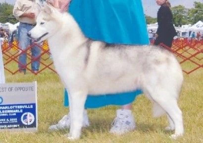 Photo of Winsum’s Striking Shuska