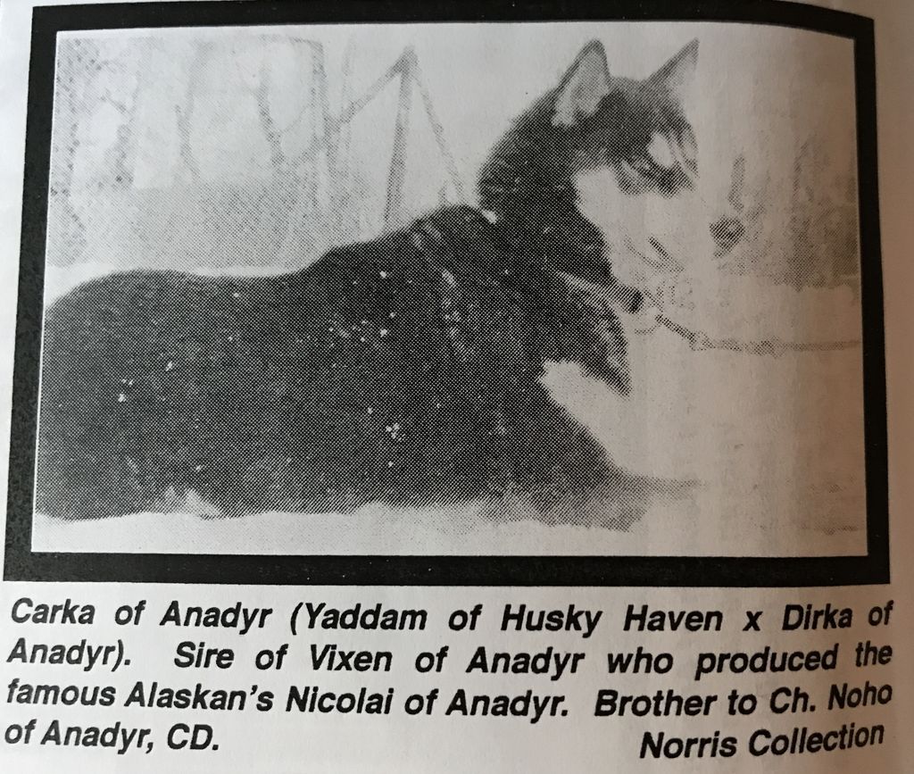 Photo of Carka Of Anadyr