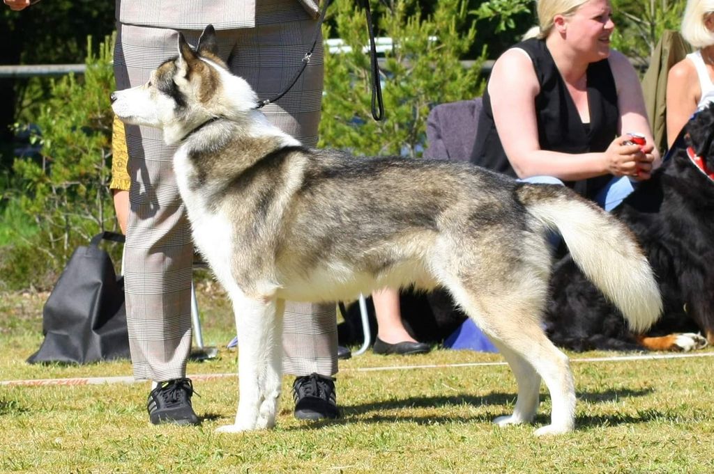 Photo of Ylajärvis SM Endurance