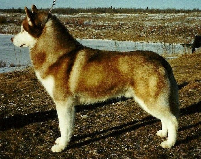 Photo of Innisfree O’Toole