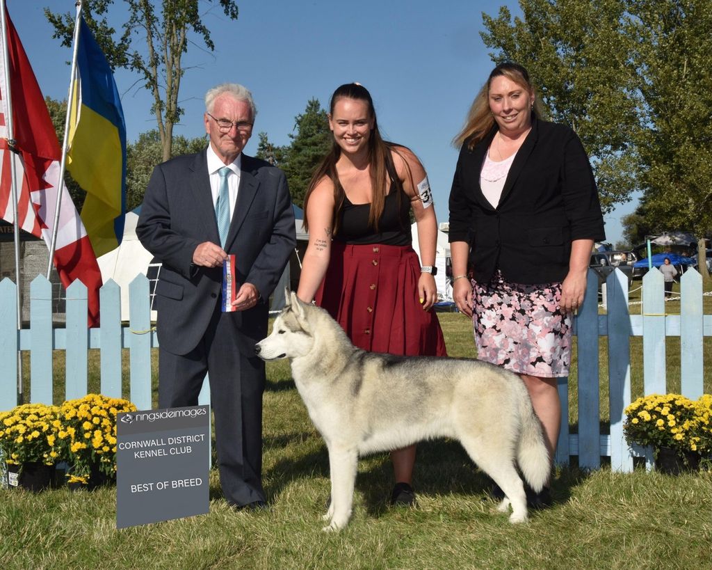 Photo of Sherakan's White Walker