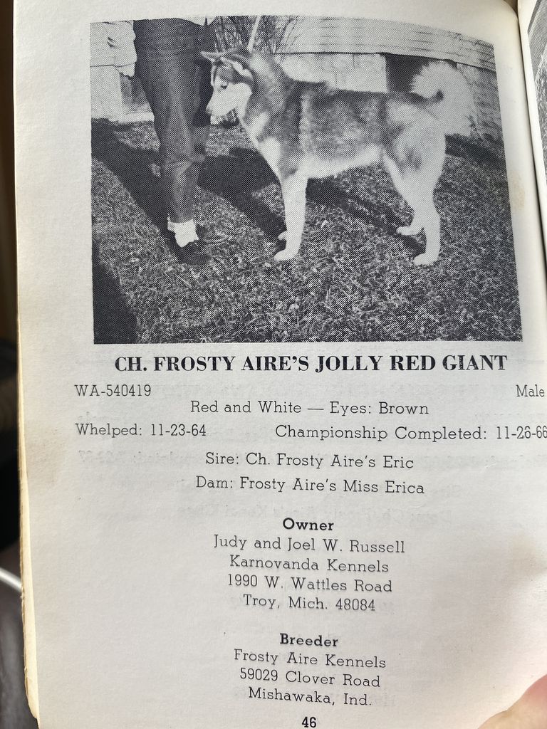Photo of Frosty Aire’s Jolly Red Giant