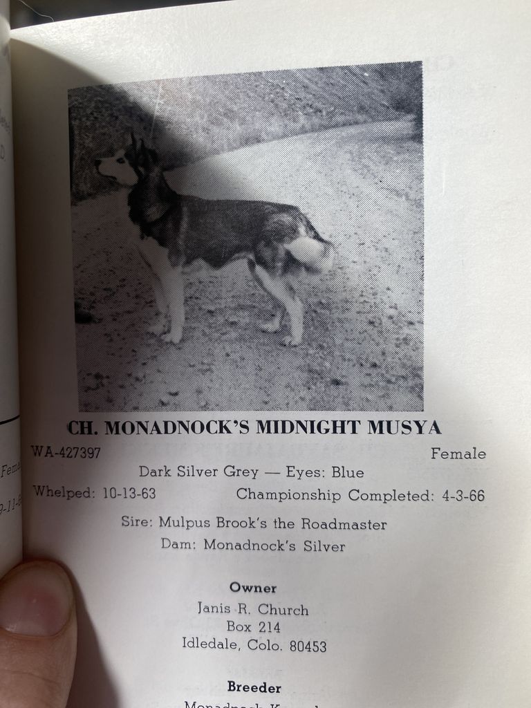 Photo of Monadnock’s Midnight Musya