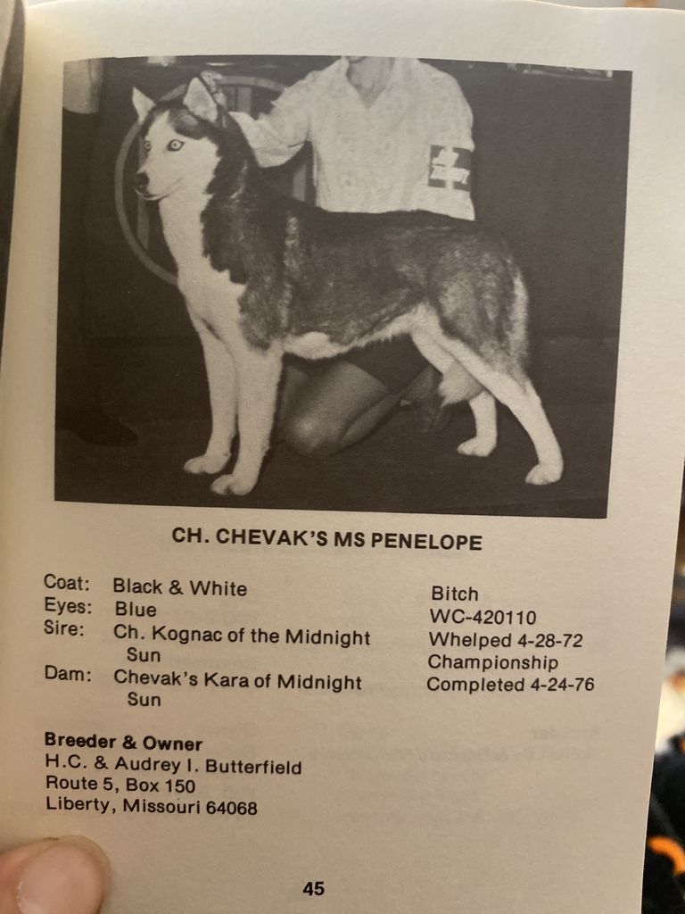 Photo of Chevak’s Ms Penelope