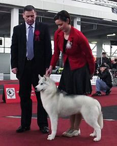Photo of Elly May Of Siberian Lady