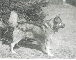 Photo of Sepp III