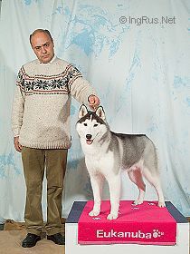 Photo of Dream Max Trond Av Isfolket