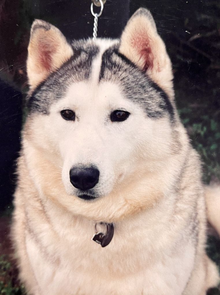 Photo of Kaila’s Snowy Winter’s Eve