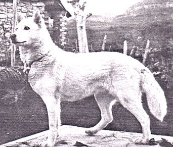 Photo of Norde Of Sepp-Alta