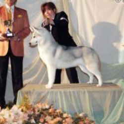 Photo of Sibirland’s Karelia