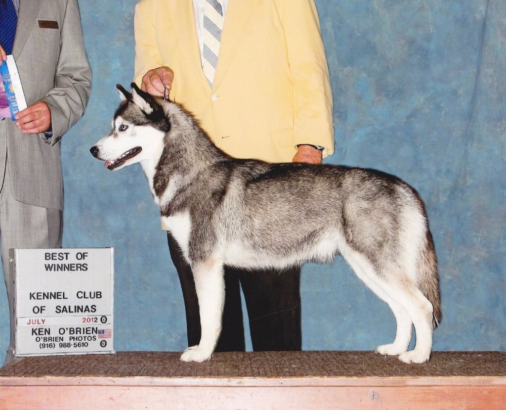 Photo of Sheeva’s Historick Legacey
