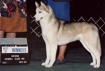 Photo of Liyaza’s Kayla O’Canamonda