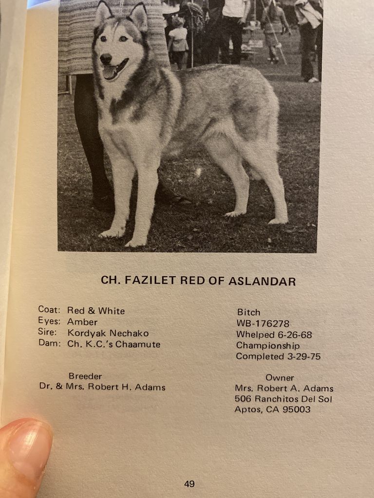 Photo of Fazilet Red Of Aslanlar