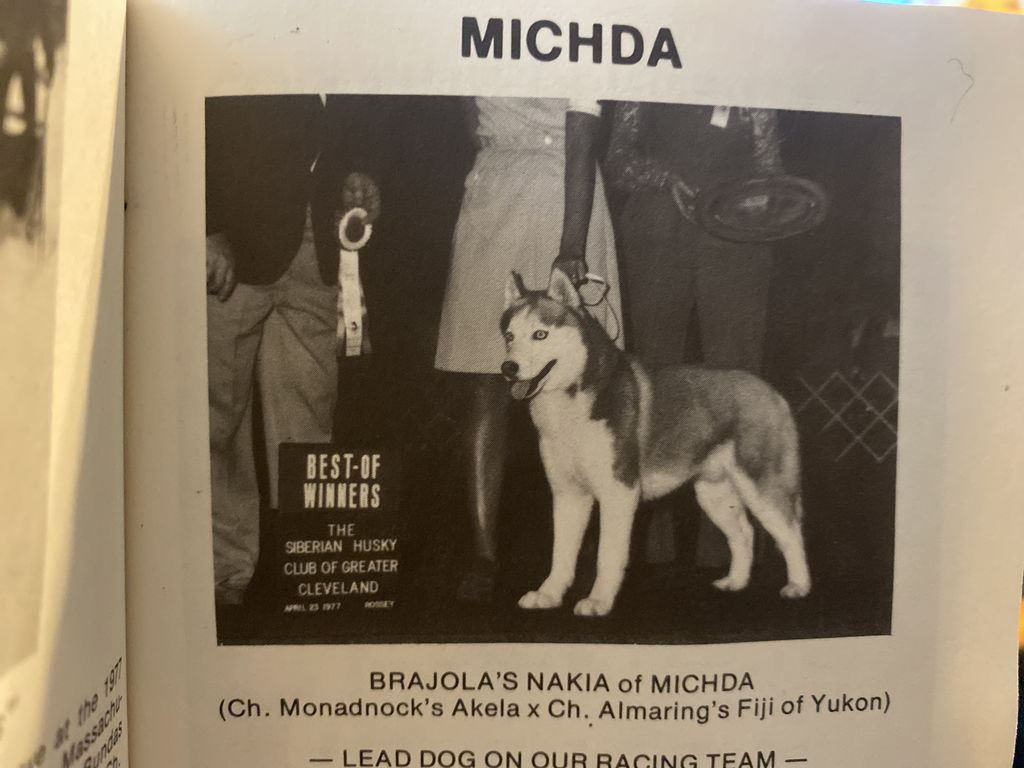 Photo of Brajola’s Nakia Of Michda