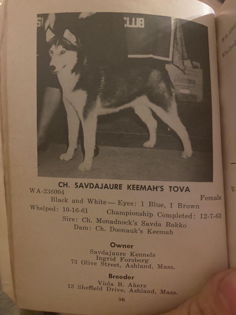 Photo of Savdajaure Keemah’s Tova