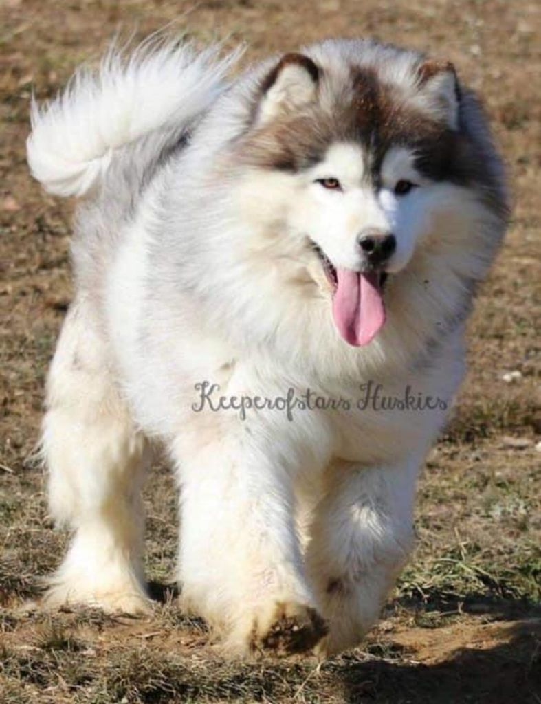 Photo of Keeperofstars Legend of the falls