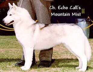 Photo of Echo Call’s Mountain Mist