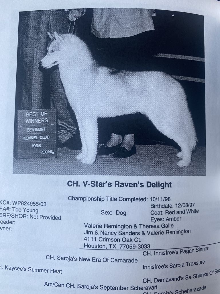 Photo of V-Star’s Raven’s Delight