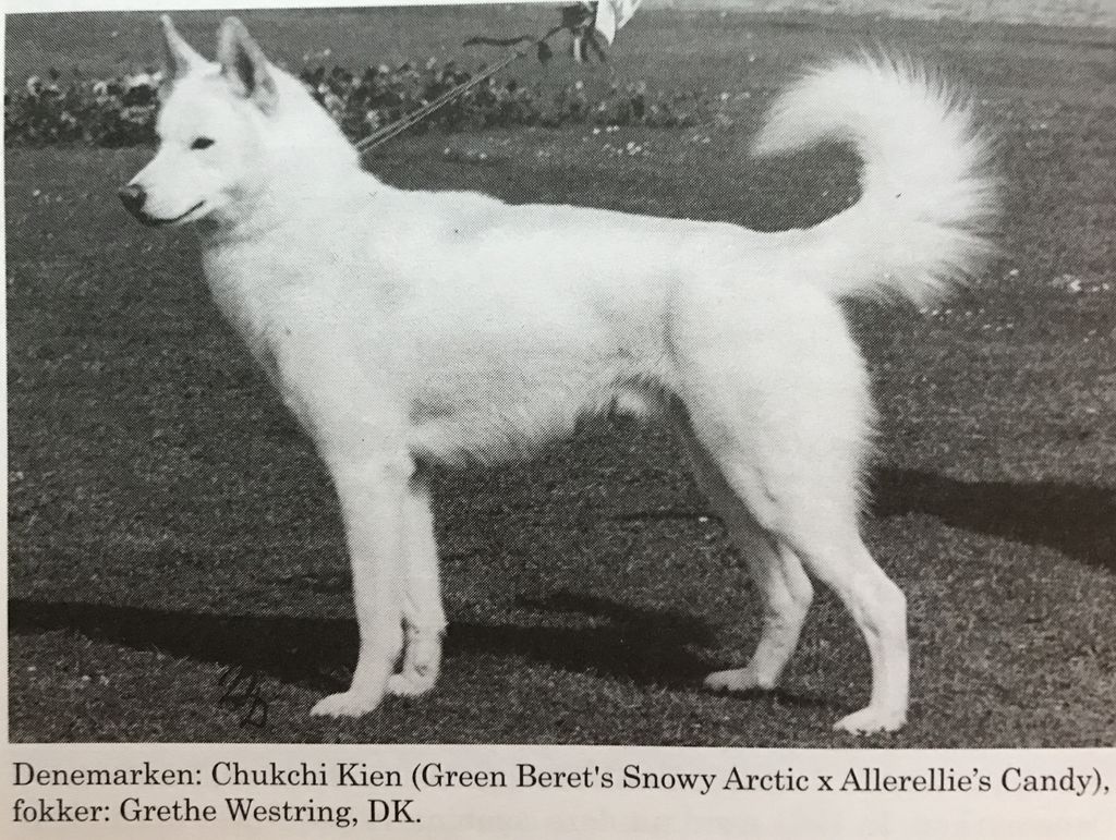 Photo of Chukchi Kien AK