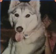Photo of Dakota Marie Levaux