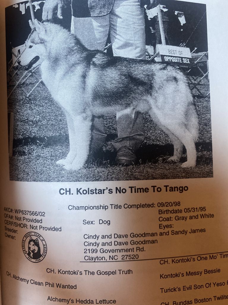 Photo of Kolstar’s No Time To Tango