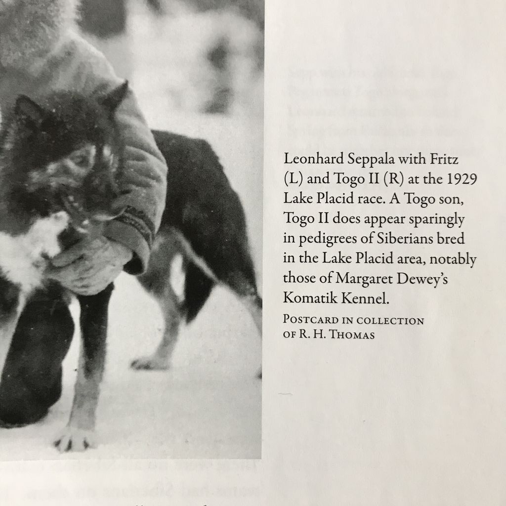 Photo of Togo II