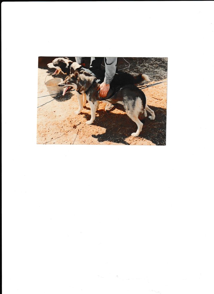 Photo of Seppineau’s Oka Of Windigo