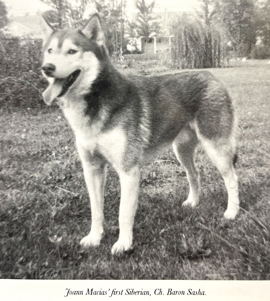 Photo of Baron Sasha
