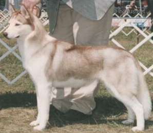 Photo of Myla’s Catch Me If U Can