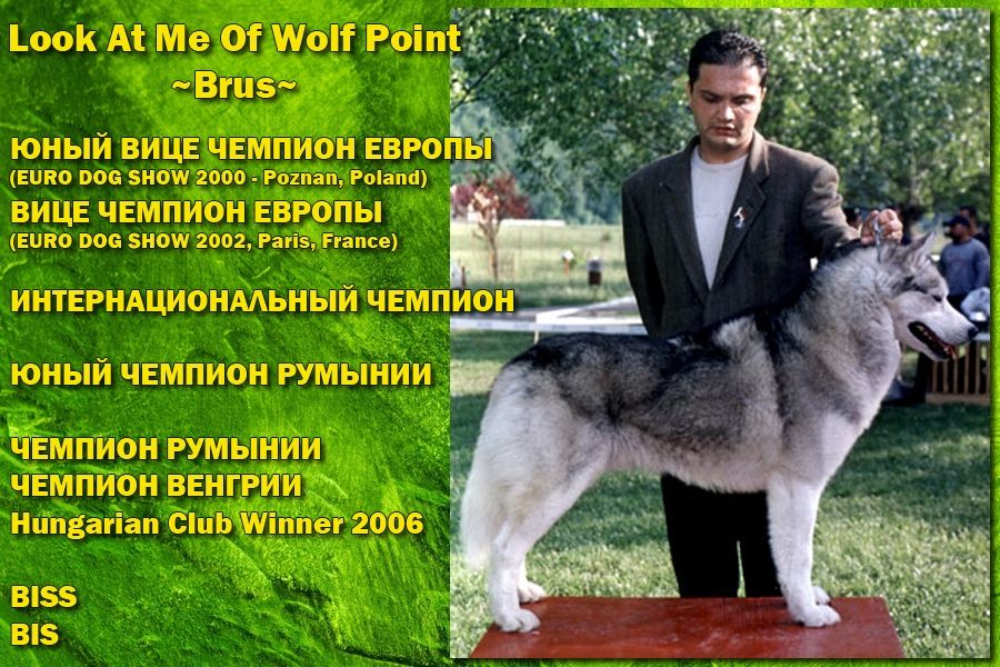 Photo of Look At Me Of Wolf Point