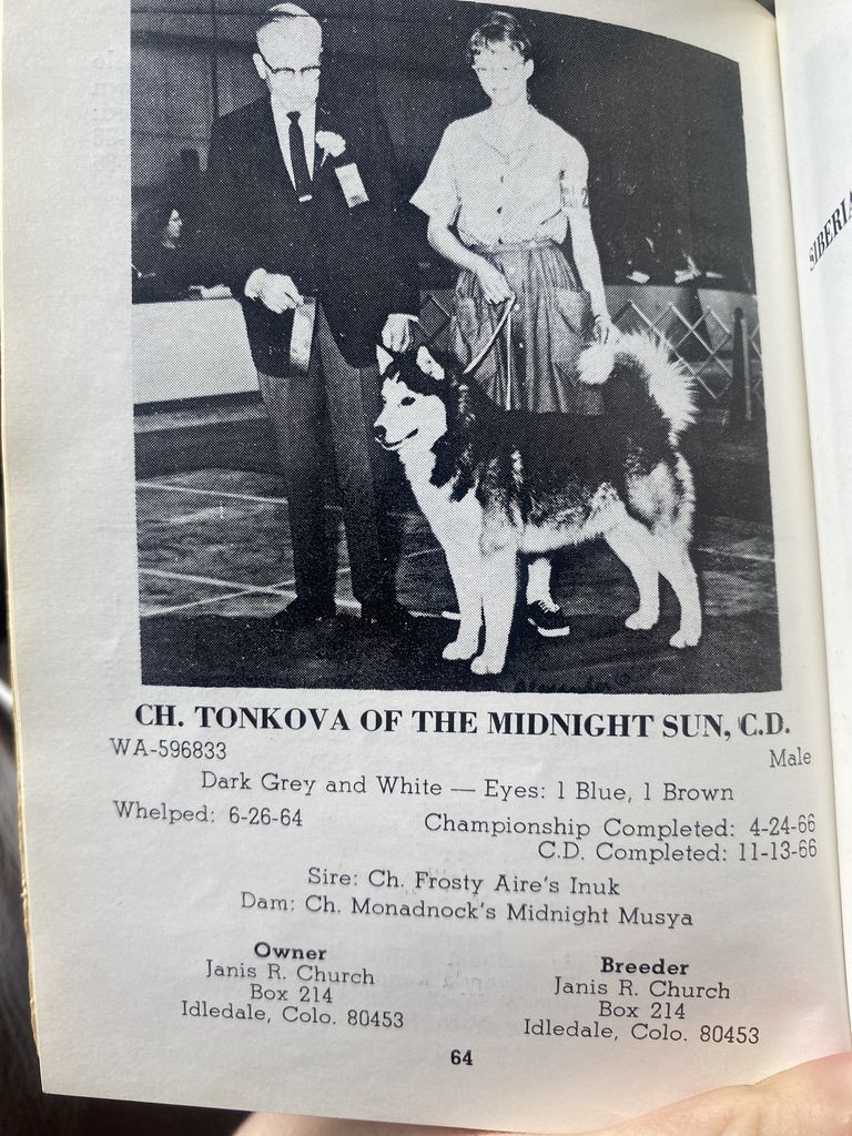 Photo of Tonkova Of The Midnight Sun