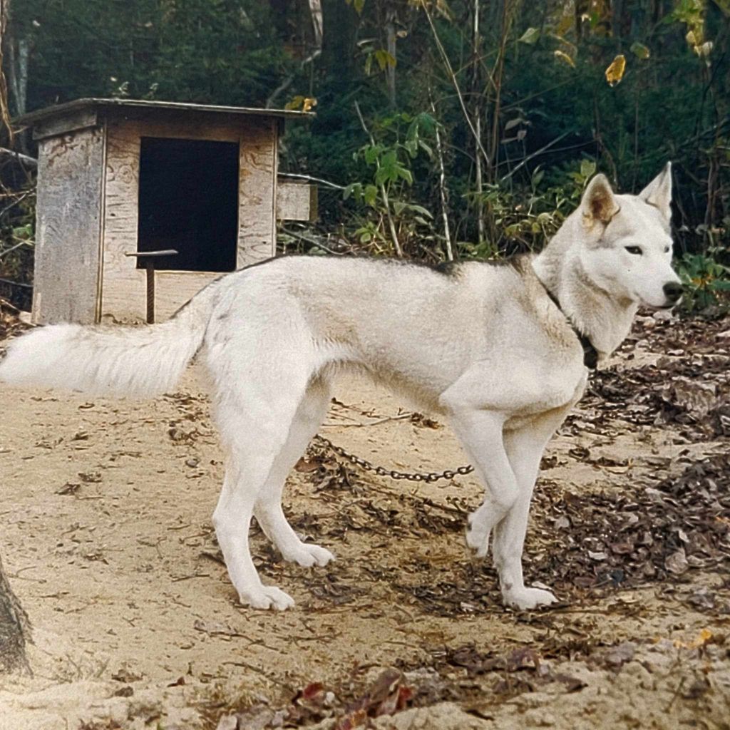 Photo of Fleo de Loufranc