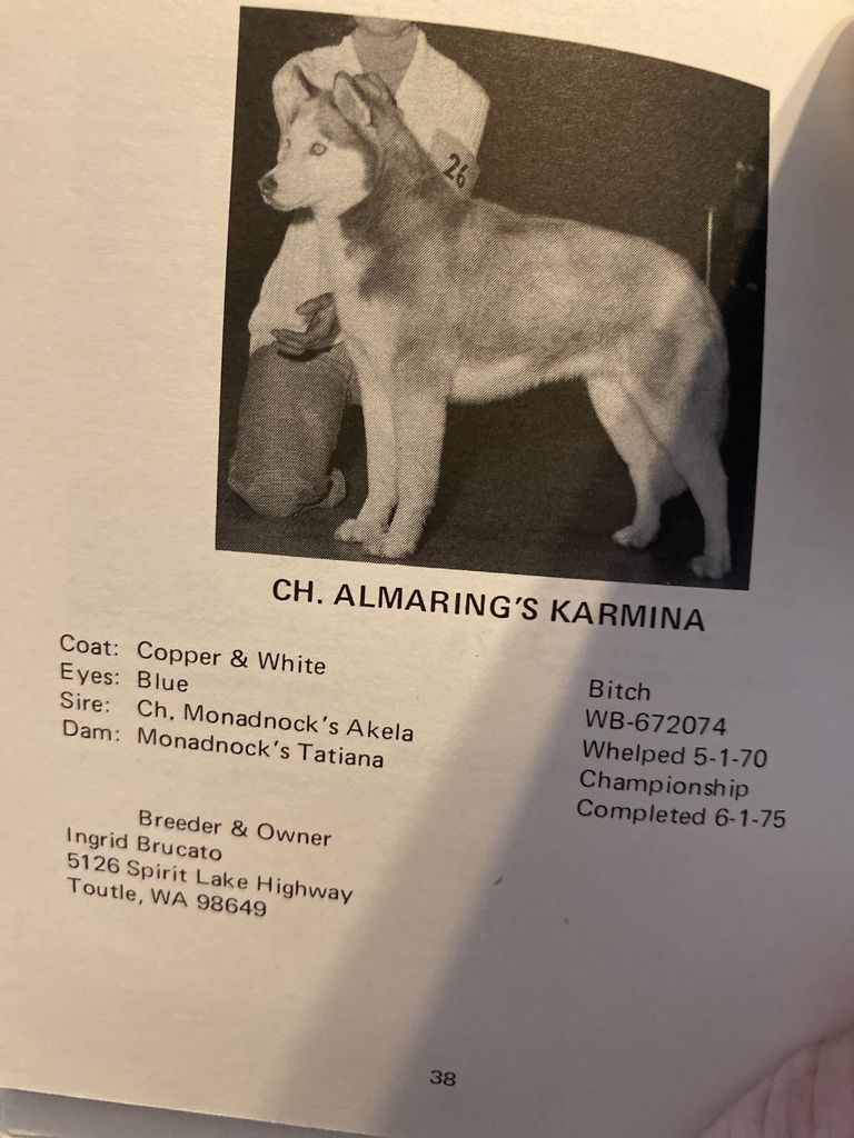 Photo of Almaring’s Karmina