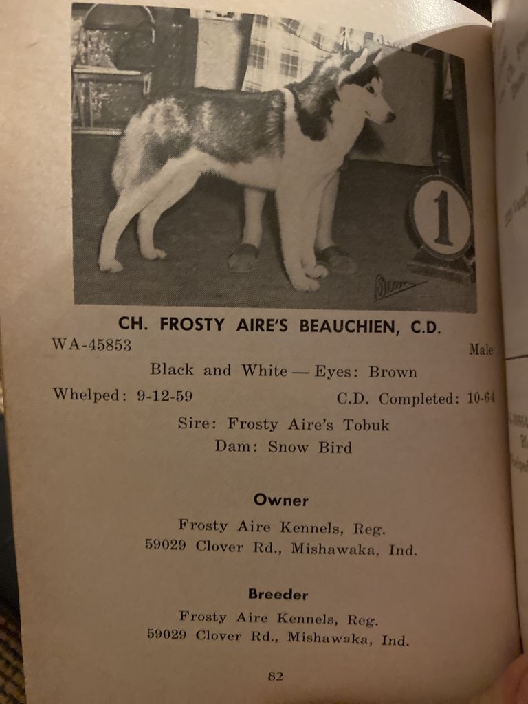 Photo of Frosty Aire’s Beauchien