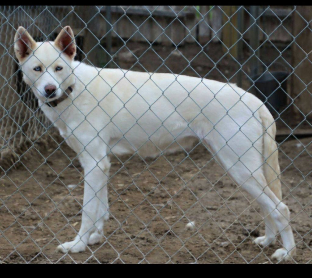 Photo of Zoie of Seppalta