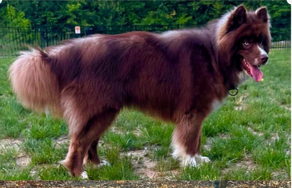 Photo of Moonlight Howl's Beryl All My Tears